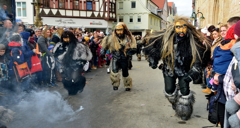 Narrenumzug Reutlingen 2017