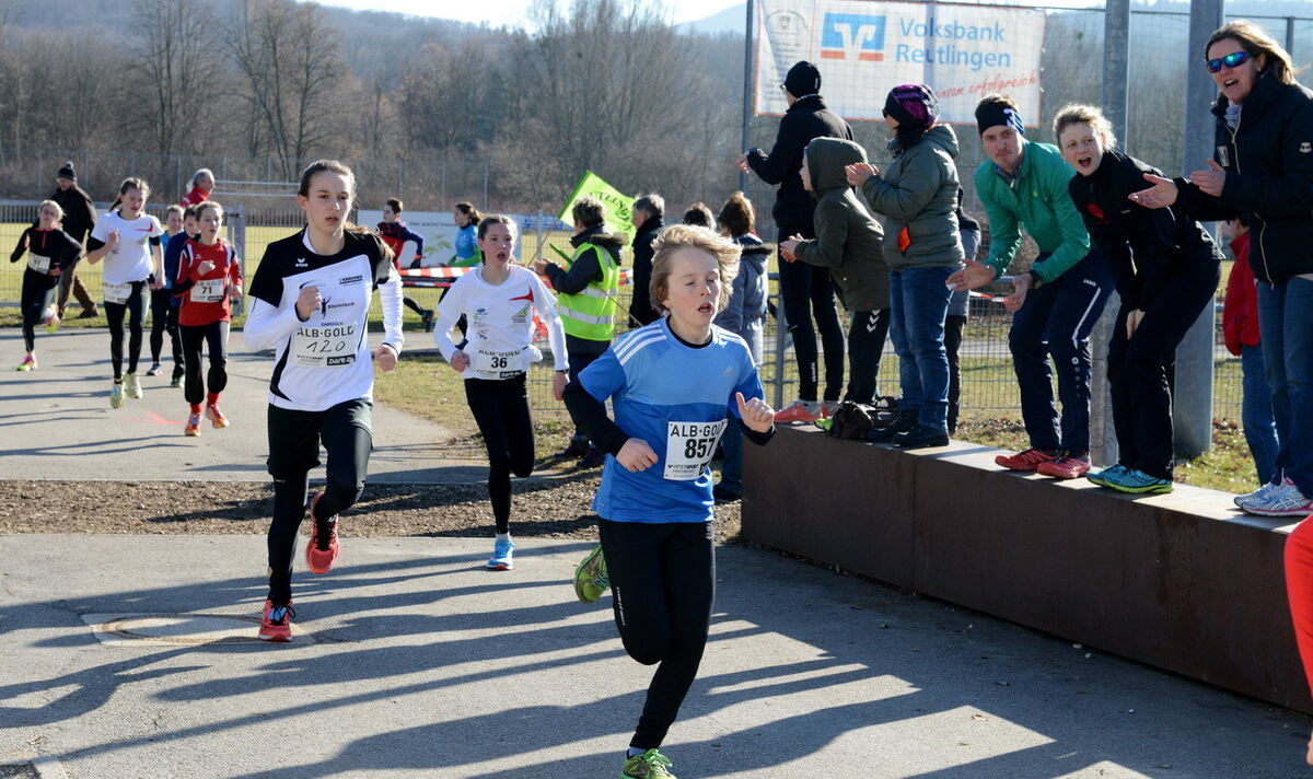 Winterlaufcup an der Kreuzeiche 11. Februar 2017