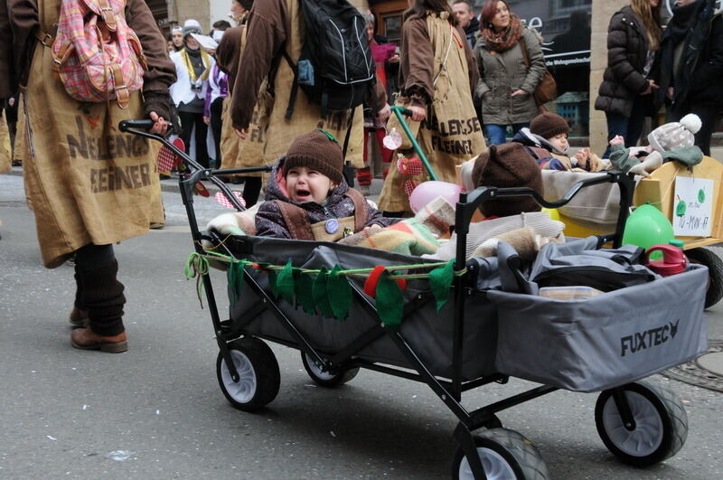 Großer Ommzug in Rottenburg 2017