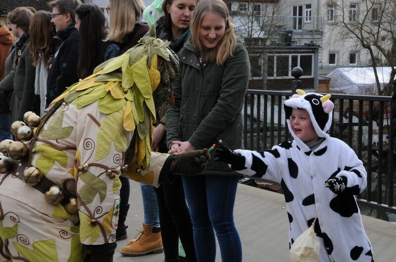 Großer Ommzug in Rottenburg 2017