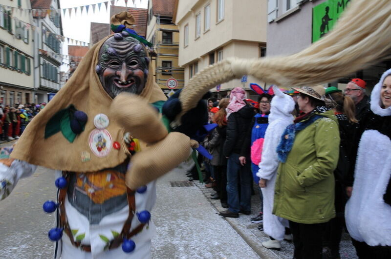 Großer Ommzug in Rottenburg 2017