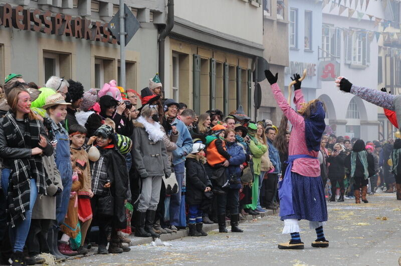 Großer Ommzug in Rottenburg 2017