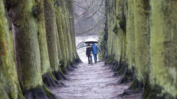 Hamburg: Zwei Spaziergänger mit Regenschirm und Gummistiefeln sind bei leichtem Dauerregen im Stadtteil Blankenese unterwegs.