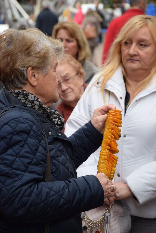 Frühlingserwachen Pfullingen 2017