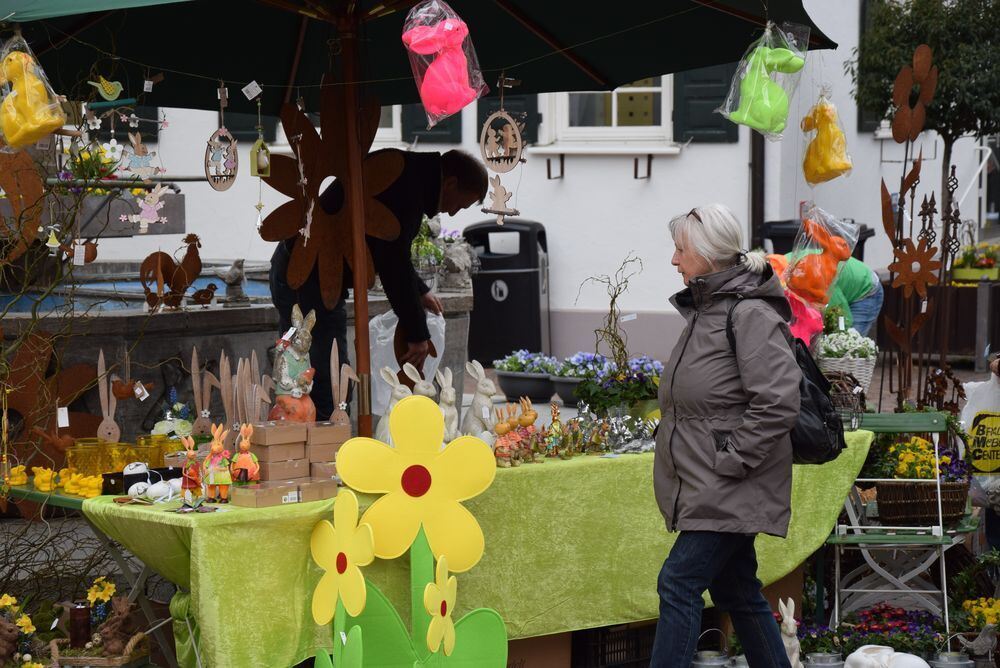 Frühlingserwachen Pfullingen 2017