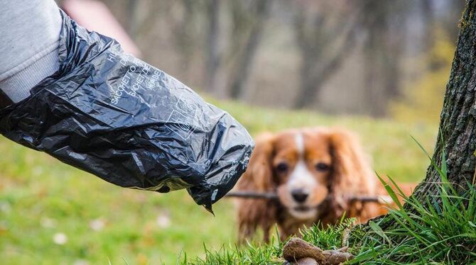 Herrchen räumt mit Hundekotbeutel auf.