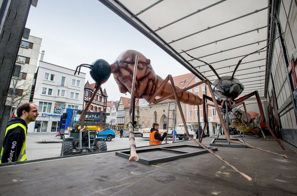 Science City Reutlingen XXL Krabbeltiere 2017