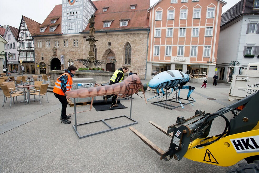 Science City Reutlingen XXL Krabbeltiere 2017