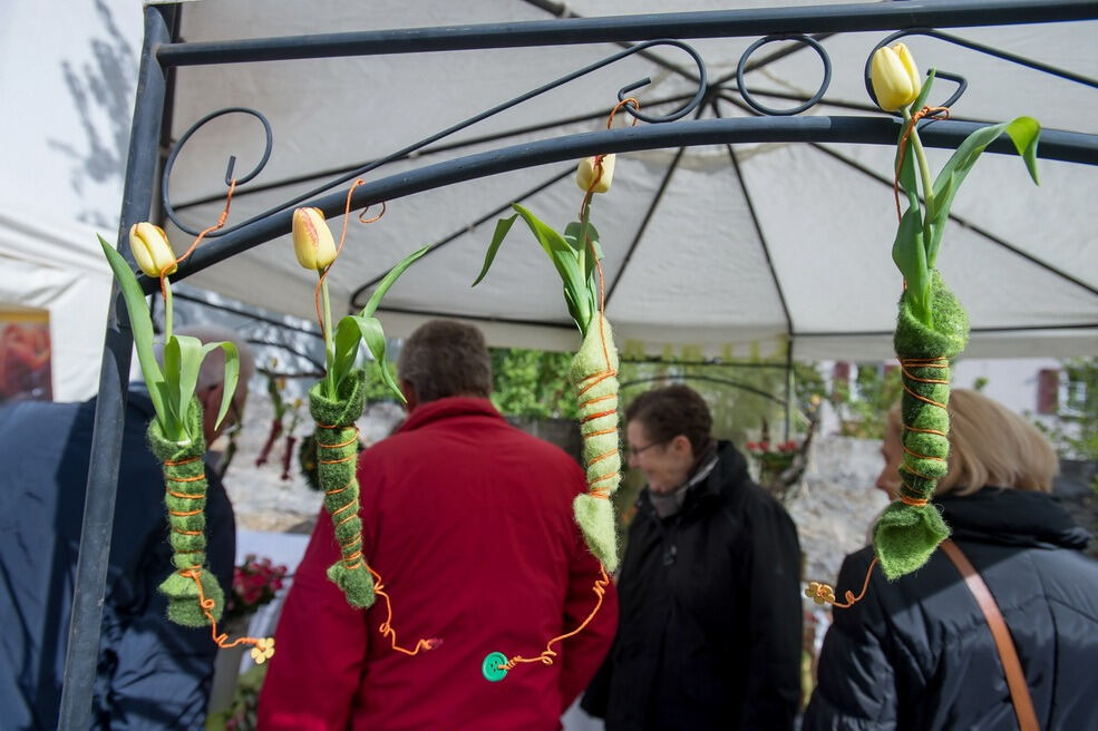 Gönninger Tulpenblüte 2017