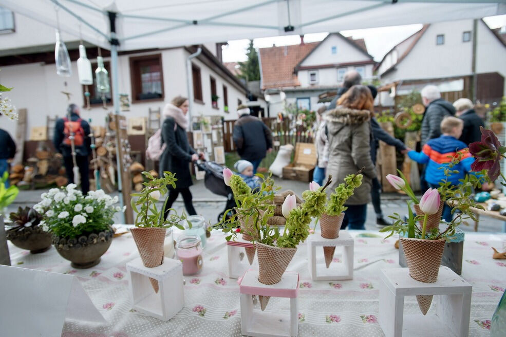 Gönninger Tulpenblüte 2017