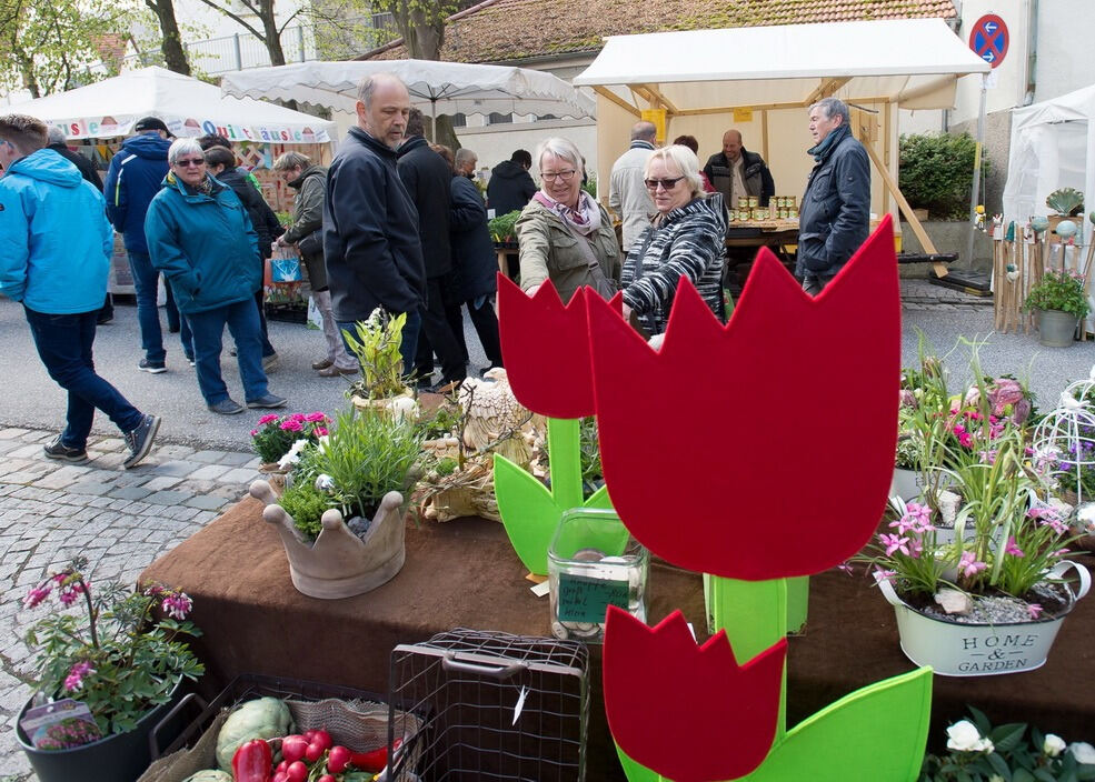 Gönninger Tulpenblüte 2017