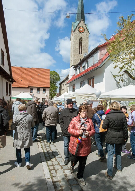 Gönninger Tulpenblüte 2017