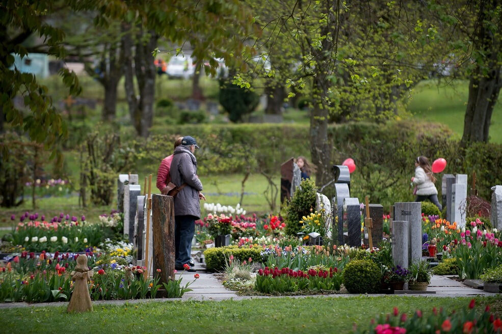 Gönninger Tulpenblüte 2017