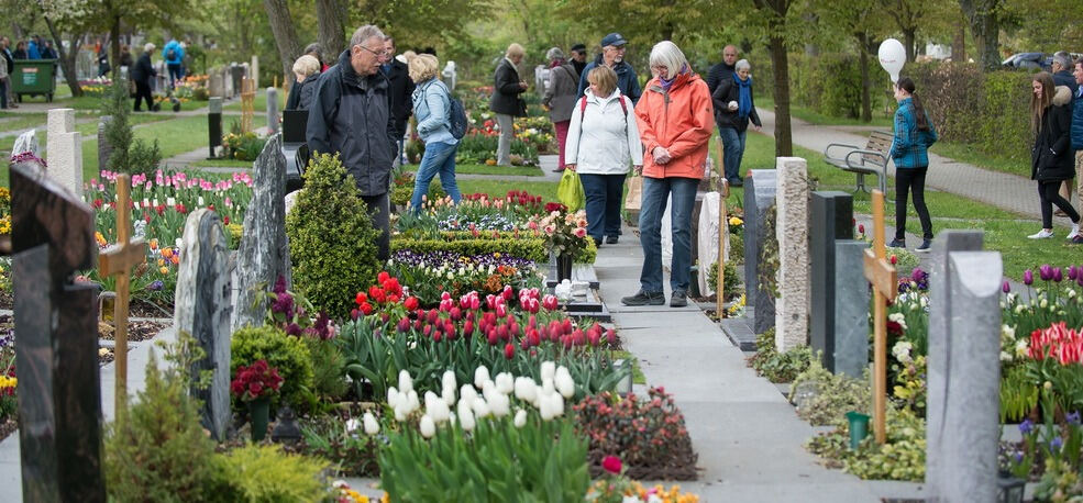 Gönninger Tulpenblüte 2017