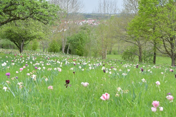 Führung durch das Gartenkunstwerk von Roland Doschka