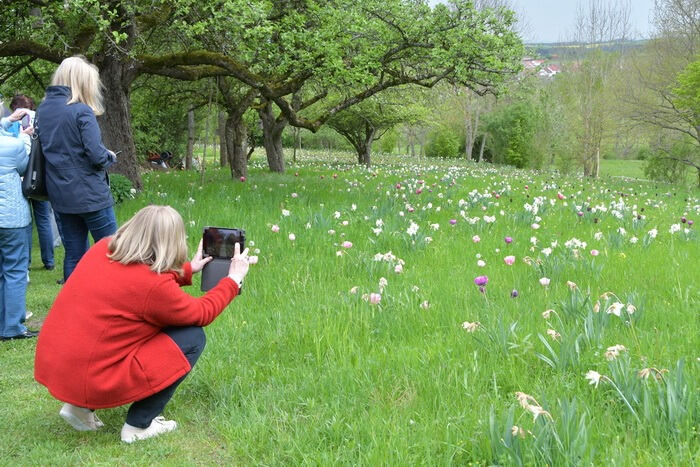 Führung durch das Gartenkunstwerk von Roland Doschka