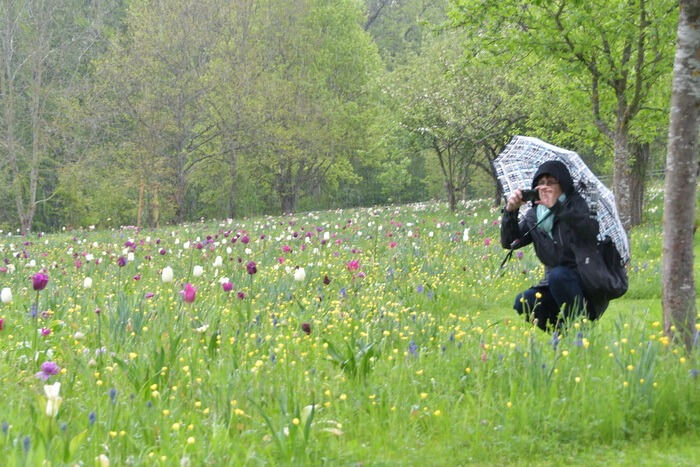 Führung durch das Gartenkunstwerk von Roland Doschka