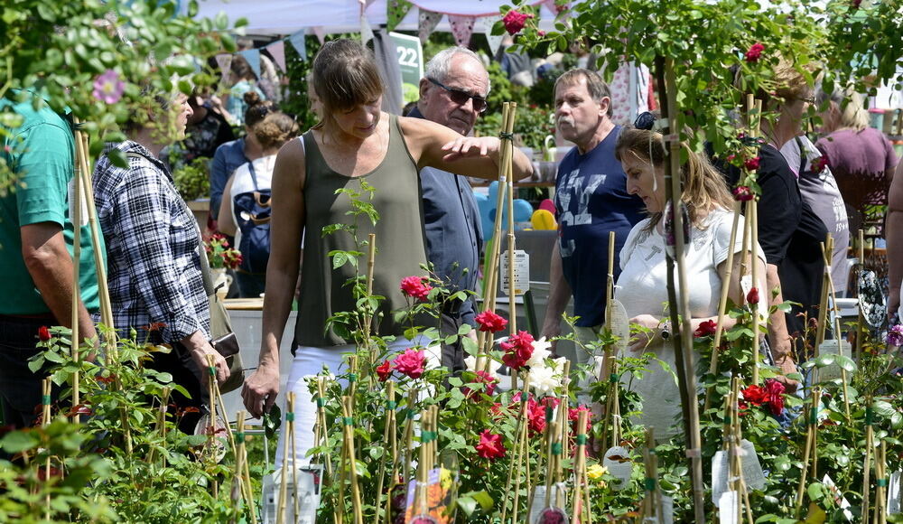 Garden Life Reutlingen 2017