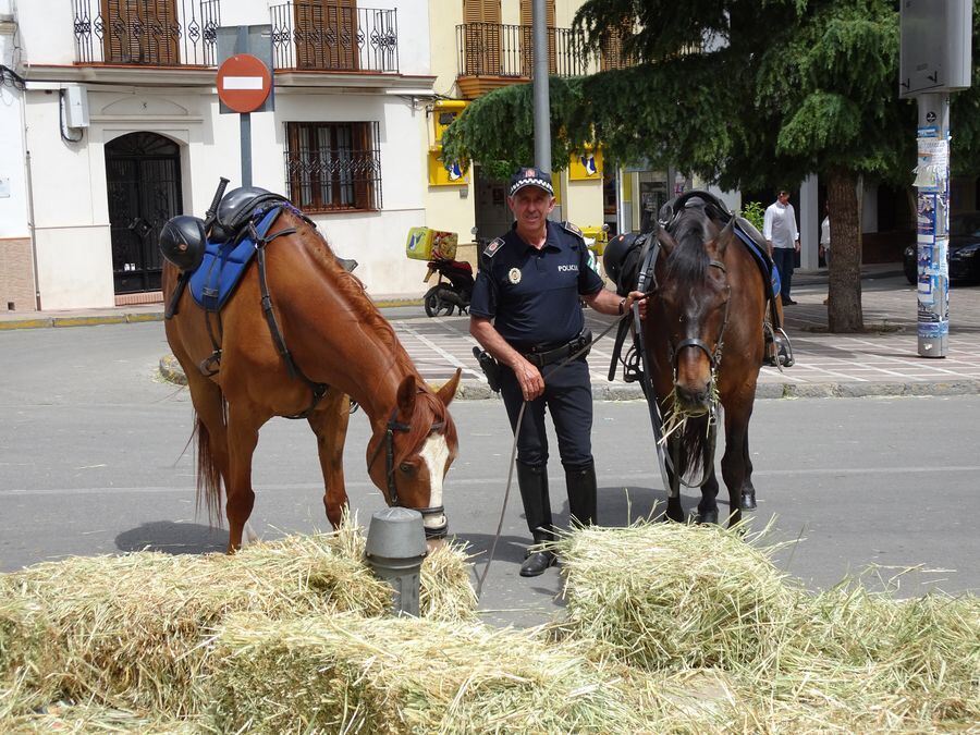 Bilder von der Leserreise nach Andalusien 2017