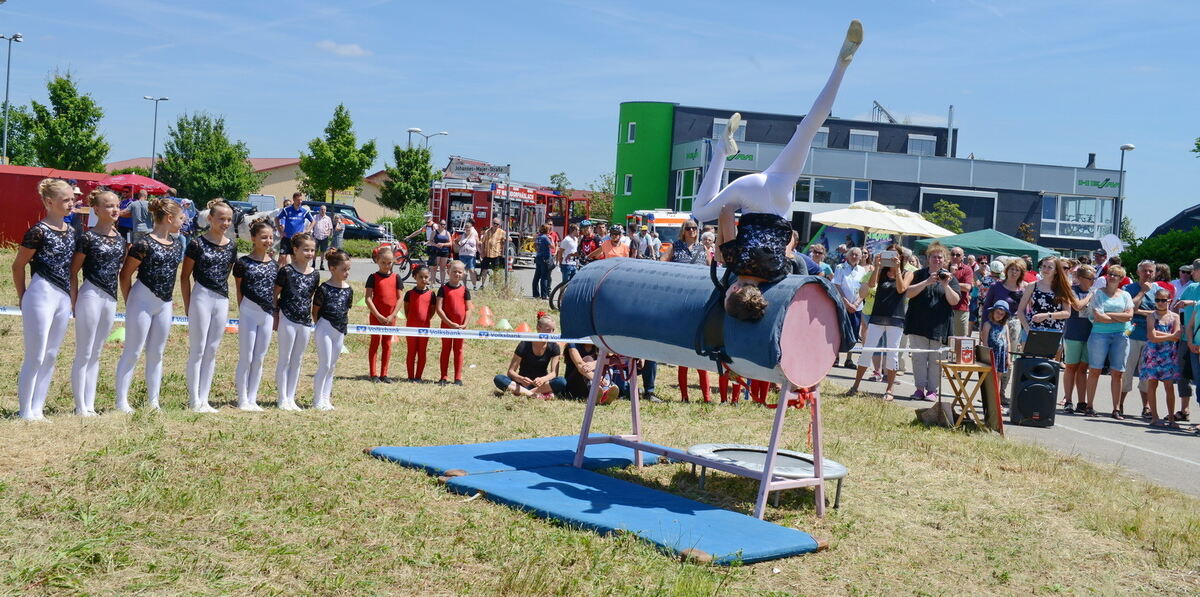 Bullenbank open Walddorfhäslach 2017