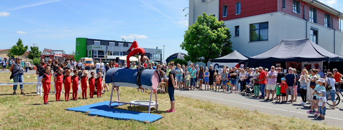 Bullenbank open Walddorfhäslach 2017