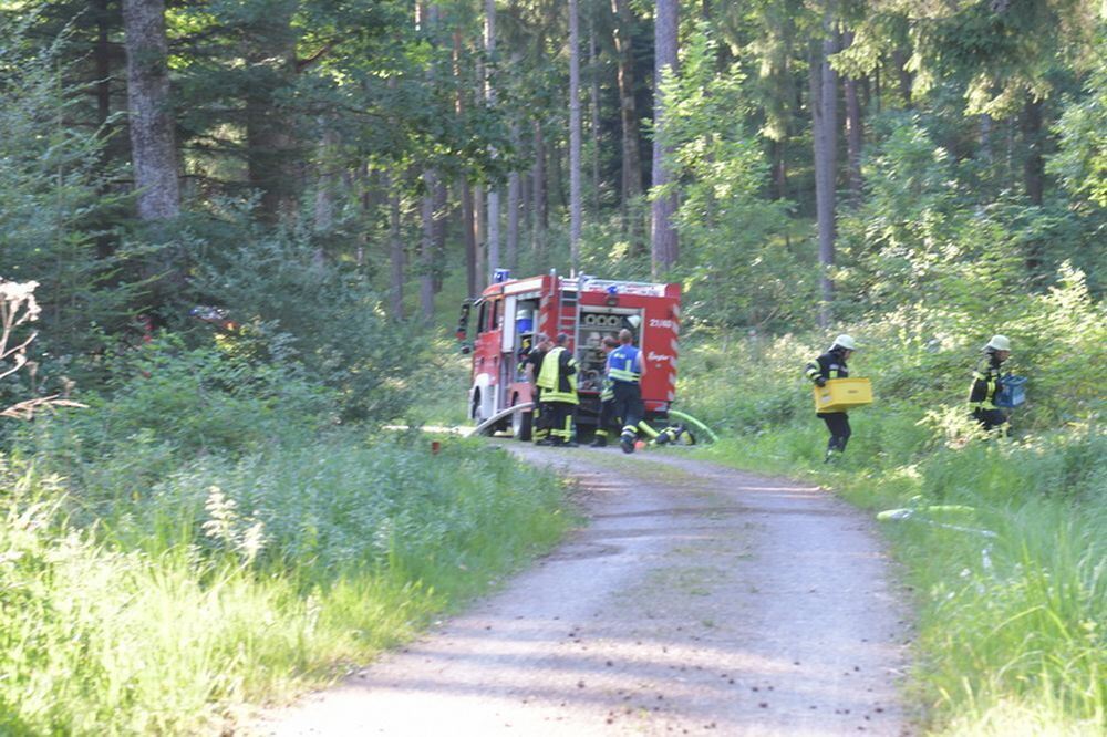 Waldbrand_Bodelshausen_2017-13 (JPG)