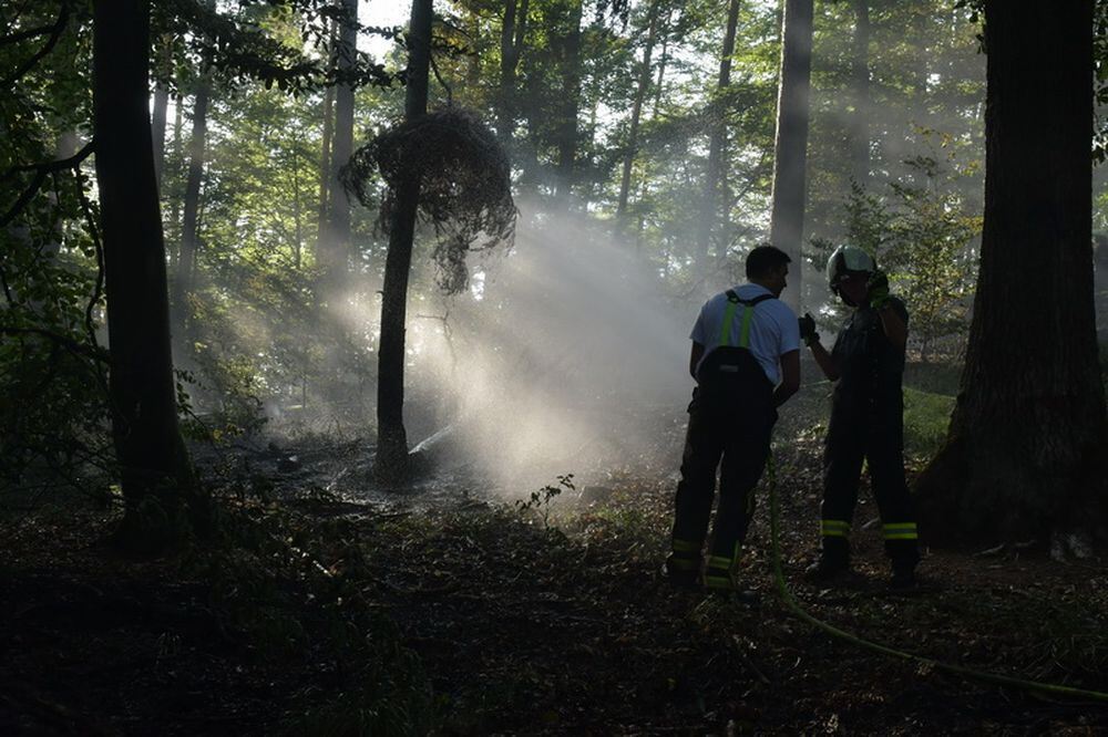 Waldbrand_Bodelshausen_2017-16 (JPG)