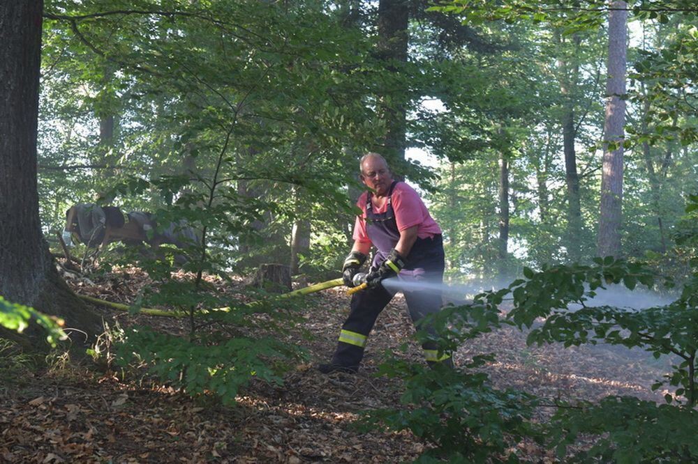 Waldbrand_Bodelshausen_2017-18 (JPG)