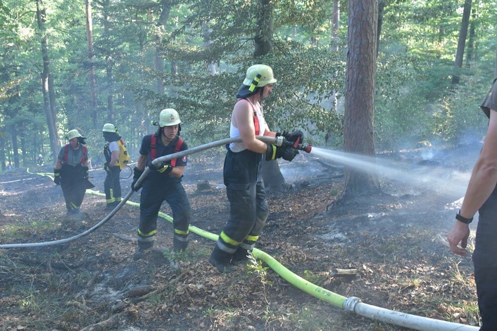 Waldbrand_Bodelshausen_2017-19 (JPG)