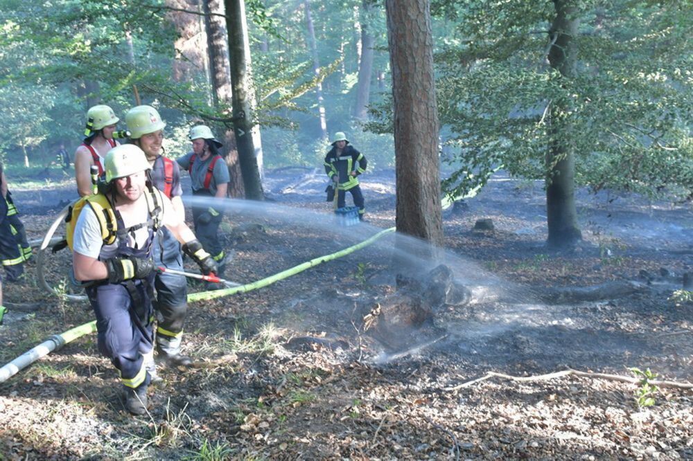 Waldbrand_Bodelshausen_2017-20 (JPG)