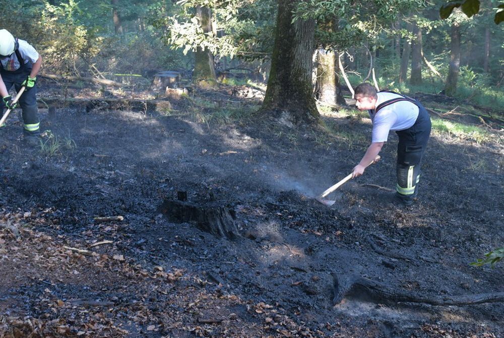 Waldbrand_Bodelshausen_2017-22 (JPG)