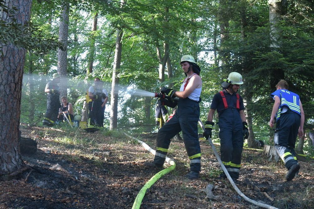 Waldbrand_Bodelshausen_2017-23 (JPG)