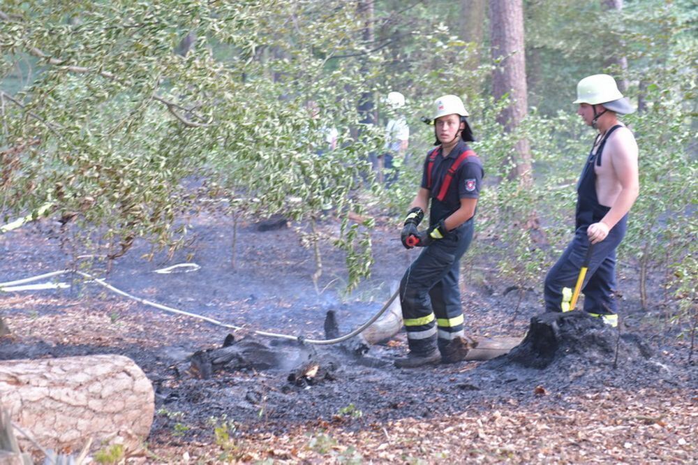 Waldbrand_Bodelshausen_2017-26 (JPG)