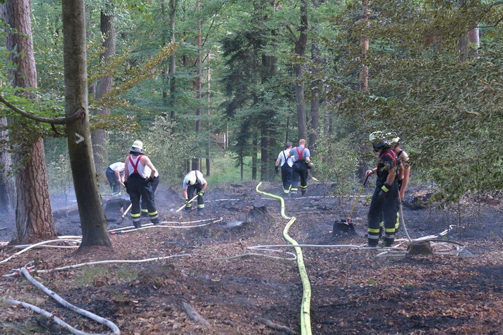 Waldbrand_Bodelshausen_2017-27 (JPG)