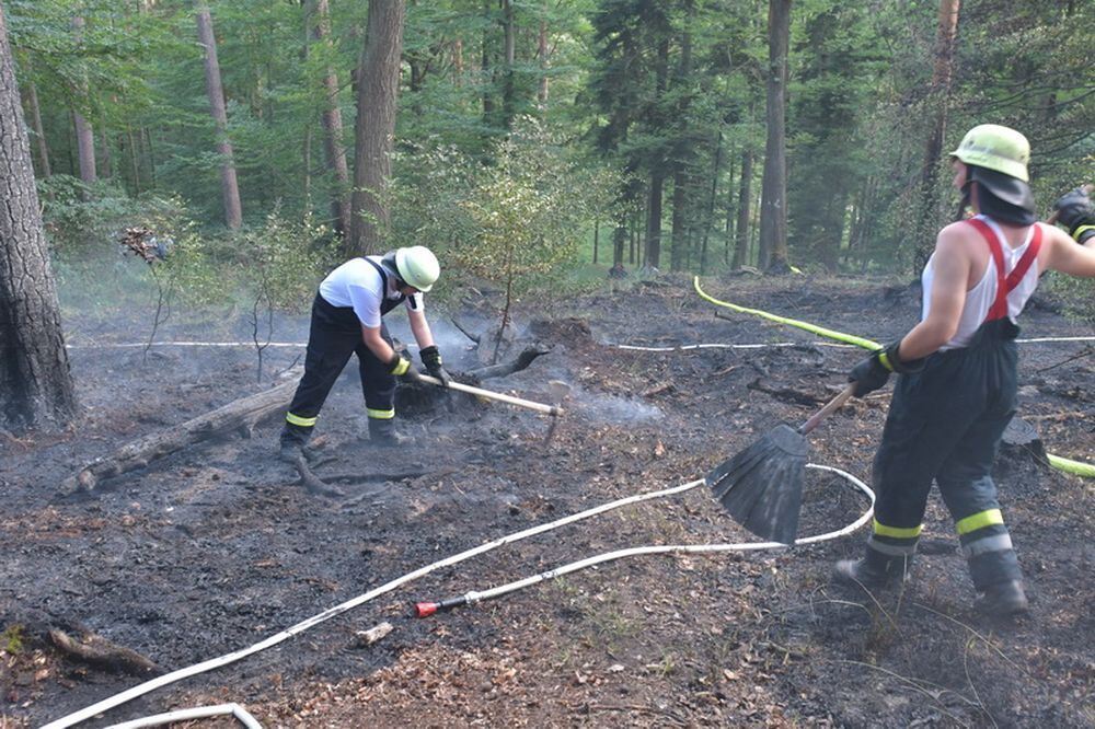 Waldbrand_Bodelshausen_2017-28 (JPG)