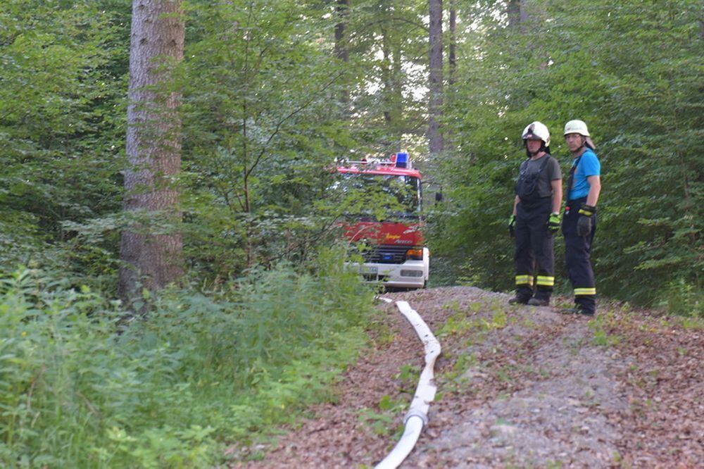 Waldbrand_Bodelshausen_2017-29 (JPG)