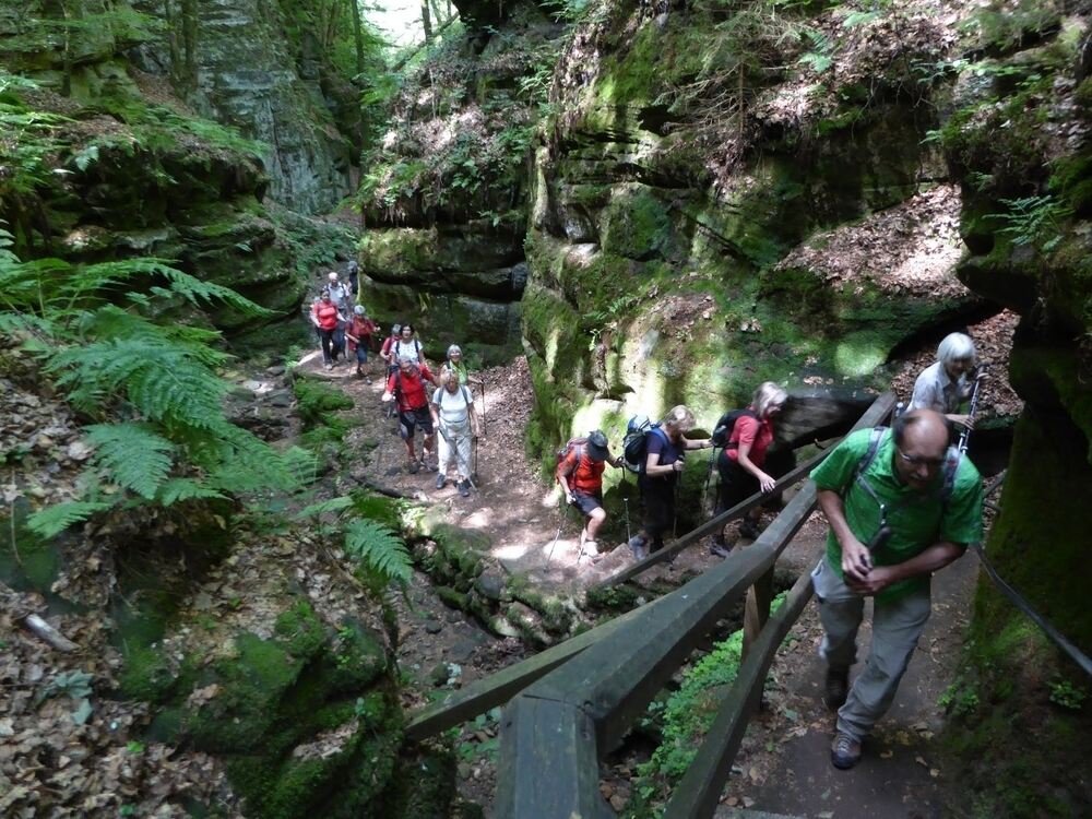 GEA Wanderreise Moseltal und Luxemburg