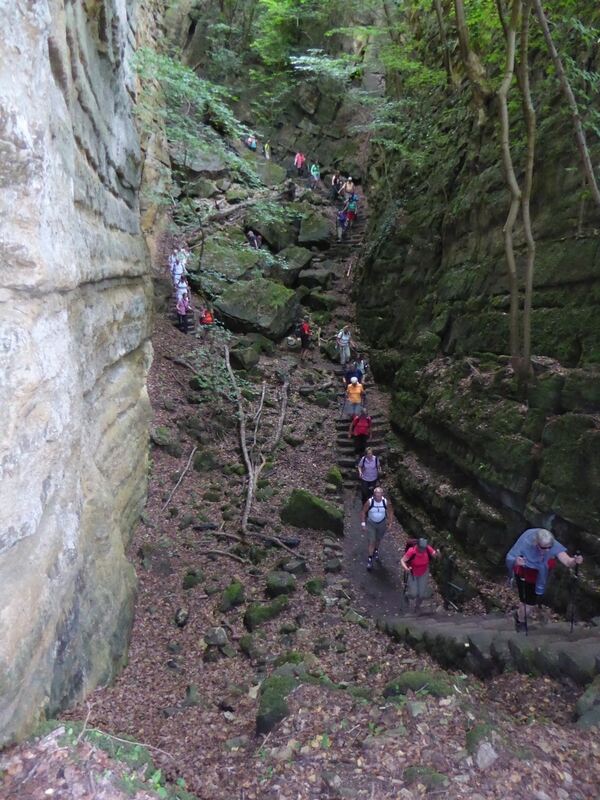 GEA Wanderreise Moseltal und Luxemburg