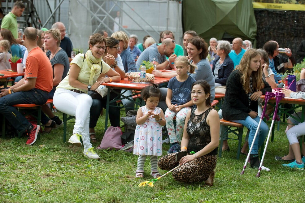 Pfullingen zeigt sich 2017