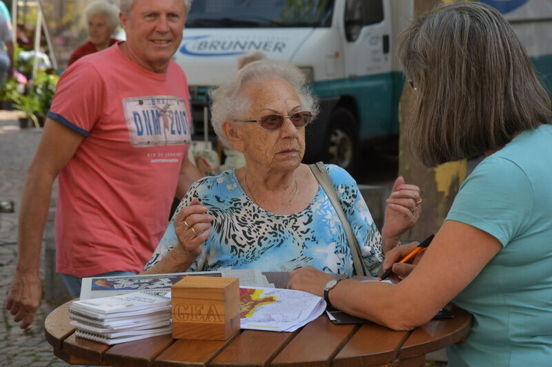 GEA-Lokaltermin in Pfullingen Juli 2017