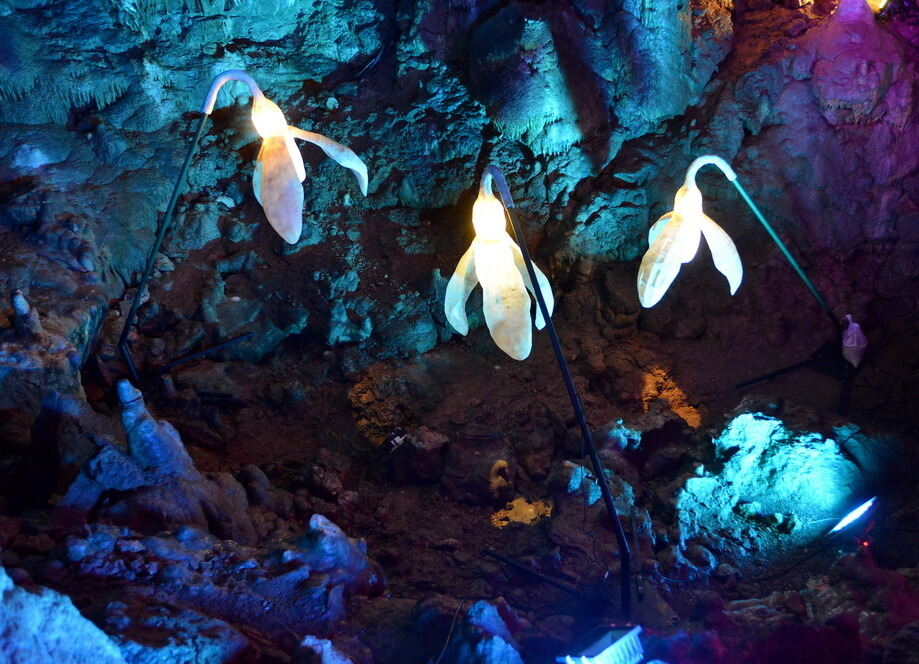 Die Bärenhöhle - ein magischer Ort