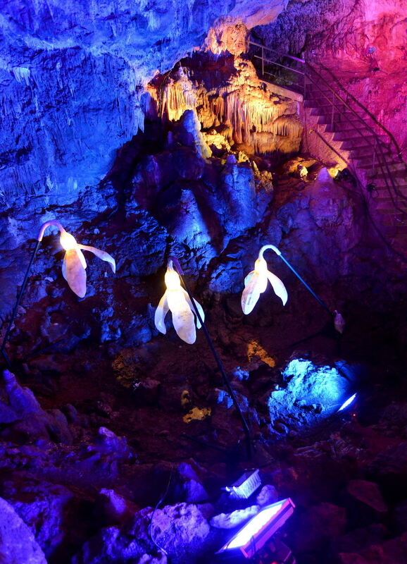 Die Bärenhöhle - ein magischer Ort