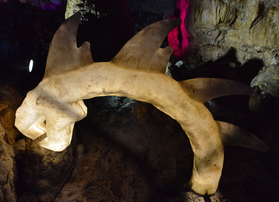 Die Bärenhöhle - ein magischer Ort