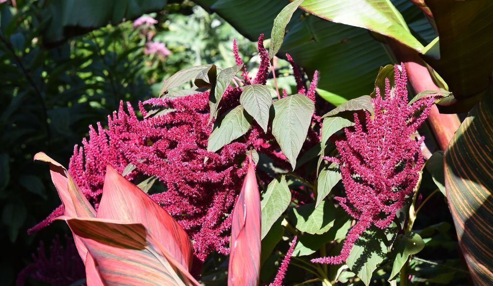 Ein außergewöhnlicher Garten in Gönningen