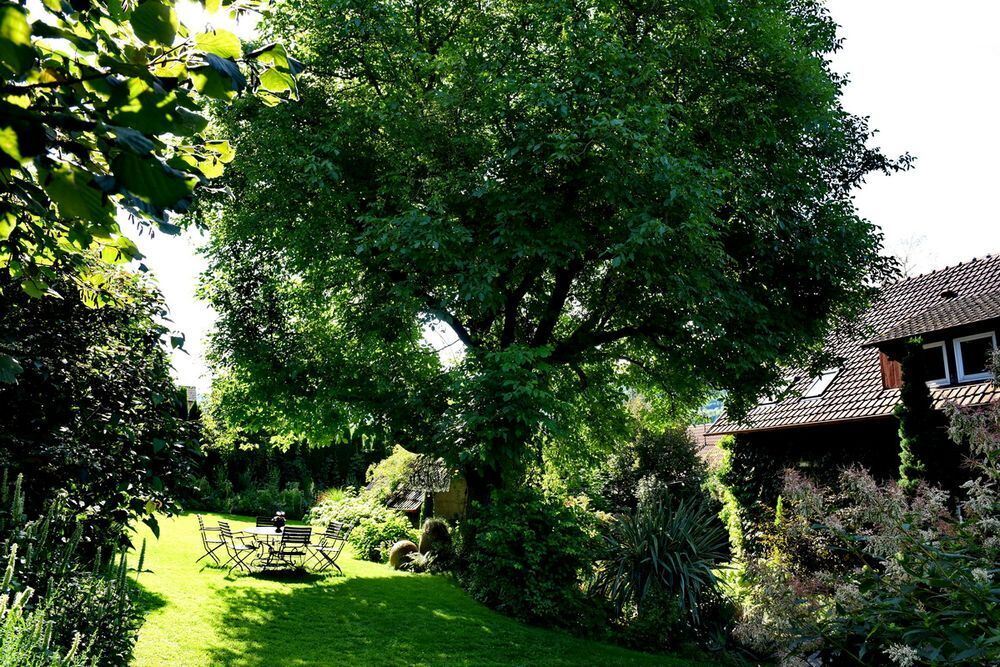 Ein außergewöhnlicher Garten in Gönningen