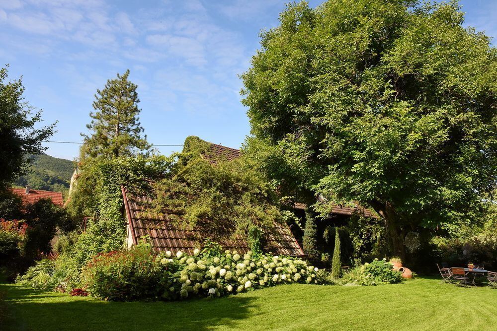 Ein außergewöhnlicher Garten in Gönningen