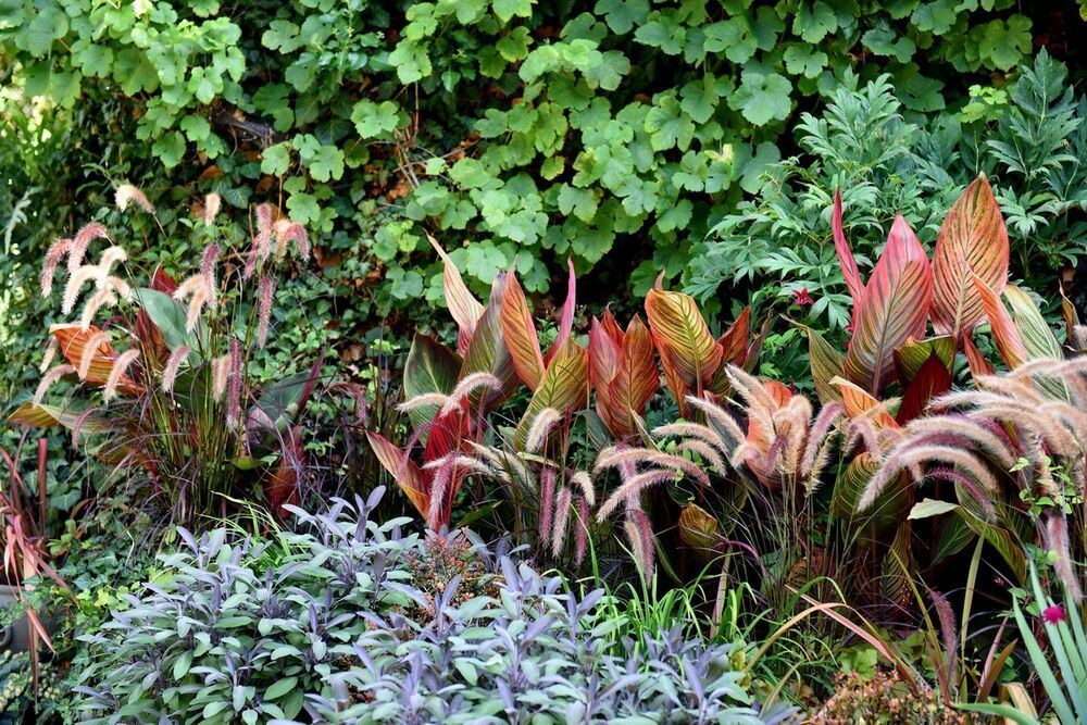 Ein außergewöhnlicher Garten in Gönningen