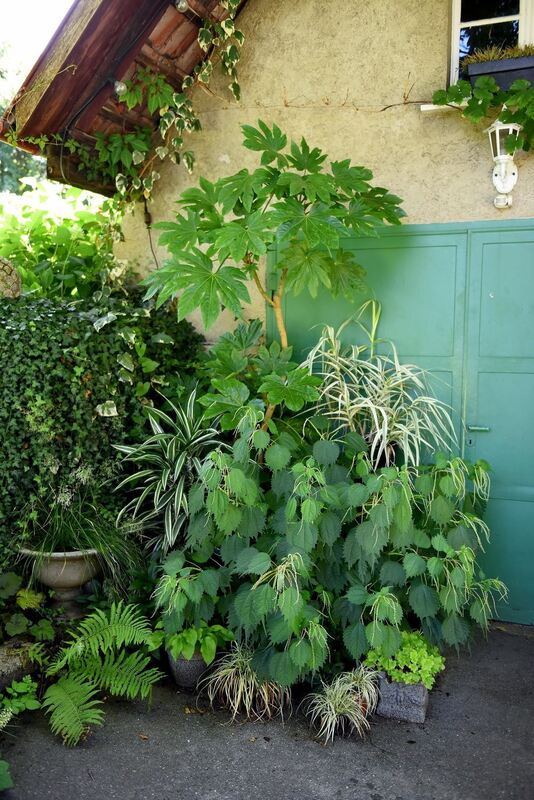 Ein außergewöhnlicher Garten in Gönningen