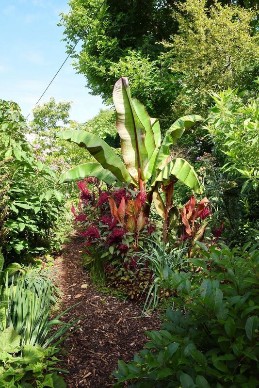 Ein außergewöhnlicher Garten in Gönningen