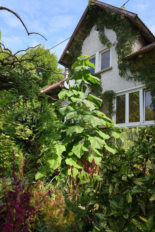 Ein außergewöhnlicher Garten in Gönningen